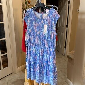 Lilly Pulitzer Danville Blue and Pink Floral Dress new XL